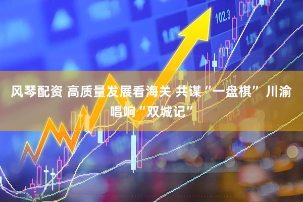 风琴配资 高质量发展看海关 共谋“一盘棋” 川渝唱响“双城记”