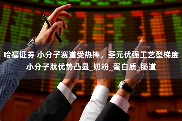 哈福证券 小分子赛道受热捧，圣元优强工艺型梯度小分子肽优势凸显_奶粉_蛋白质_肠道