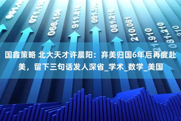 国鑫策略 北大天才许晨阳：弃美归国6年后再度赴美，留下三句话发人深省_学术_数学_美国
