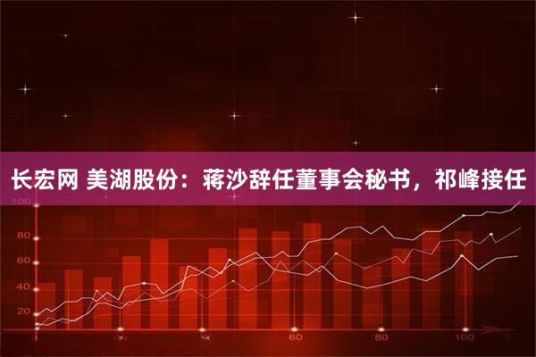 长宏网 美湖股份：蒋沙辞任董事会秘书，祁峰接任