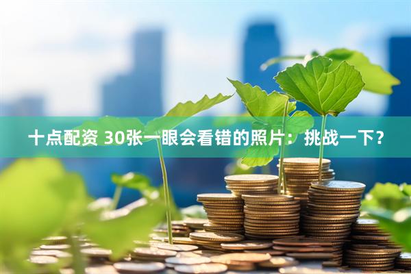 十点配资 30张一眼会看错的照片：挑战一下？