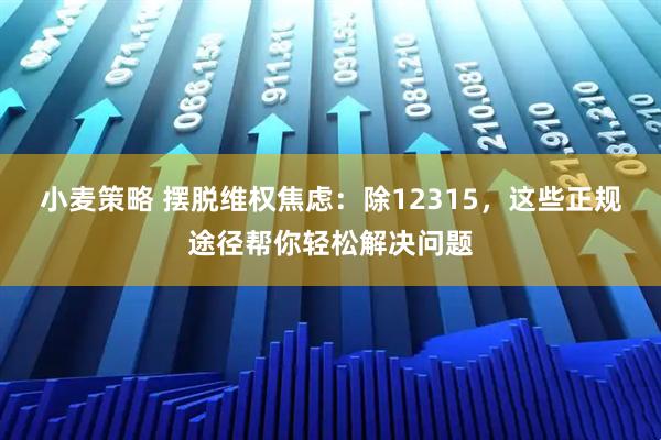 小麦策略 摆脱维权焦虑：除12315，这些正规途径帮你轻松解决问题