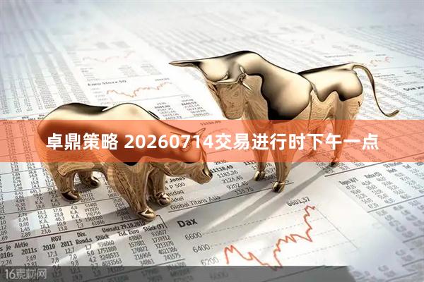 卓鼎策略 20260714交易进行时下午一点